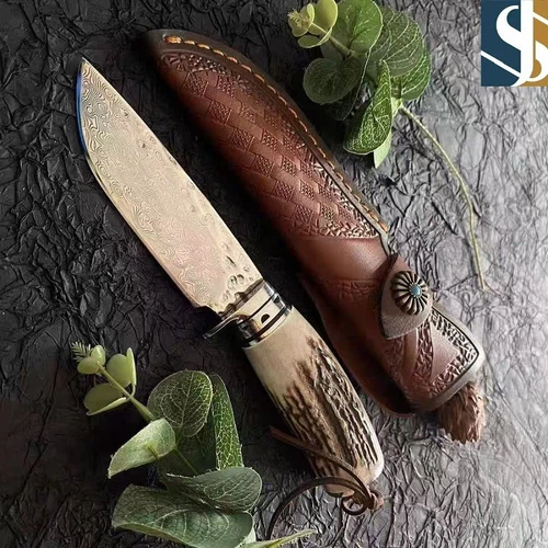 product-800-800 product-800-800